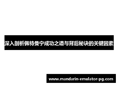 深入剖析佩特曼宁成功之道与背后秘诀的关键因素