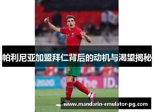 帕利尼亚加盟拜仁背后的动机与渴望揭秘