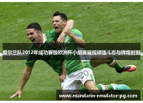 爱尔兰队2012年成功晋级欧洲杯小组赛展现顽强斗志与辉煌时刻