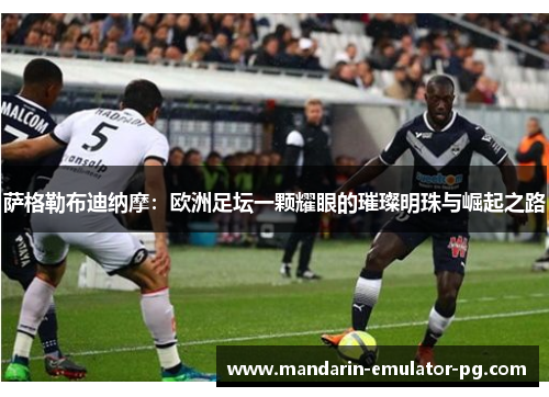 萨格勒布迪纳摩：欧洲足坛一颗耀眼的璀璨明珠与崛起之路