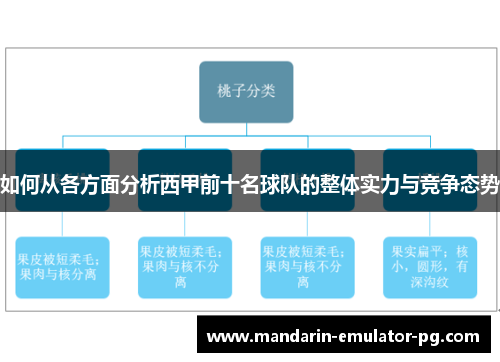 如何从各方面分析西甲前十名球队的整体实力与竞争态势
