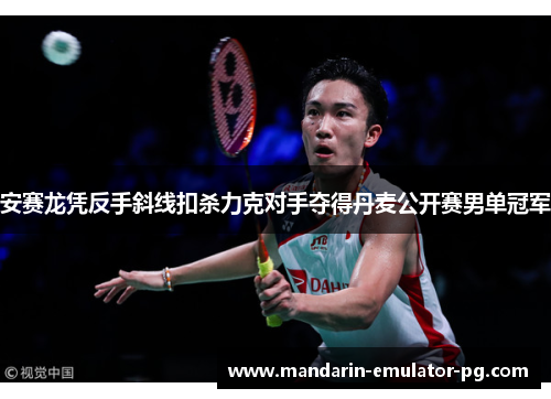 安赛龙凭反手斜线扣杀力克对手夺得丹麦公开赛男单冠军