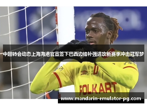 中超转会动态上海海港官宣签下巴西边锋补强进攻新赛季冲击冠军梦