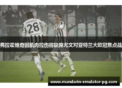 弗拉霍维奇因肌肉拉伤将缺席尤文对亚特兰大欧冠焦点战