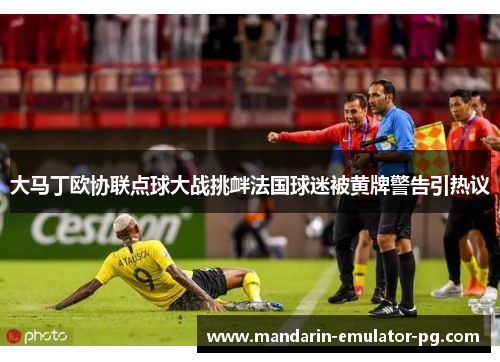 大马丁欧协联点球大战挑衅法国球迷被黄牌警告引热议