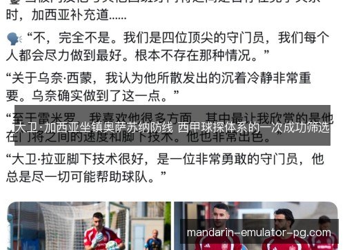大卫·加西亚坐镇奥萨苏纳防线 西甲球探体系的一次成功筛选 大卫·加西亚坐镇奥萨苏纳防线 西甲球探体系的一次成功筛选